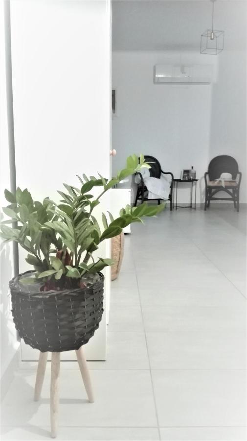 New Sea Escape Boutique Apt-Agii Aposto Li Beach ハニア エクステリア 写真