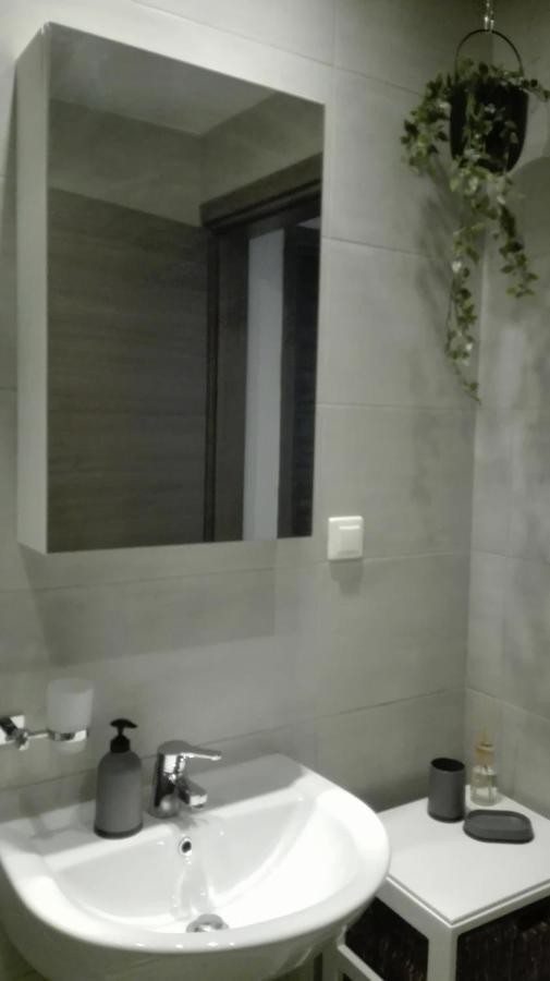 New Sea Escape Boutique Apt-Agii Aposto Li Beach ハニア エクステリア 写真