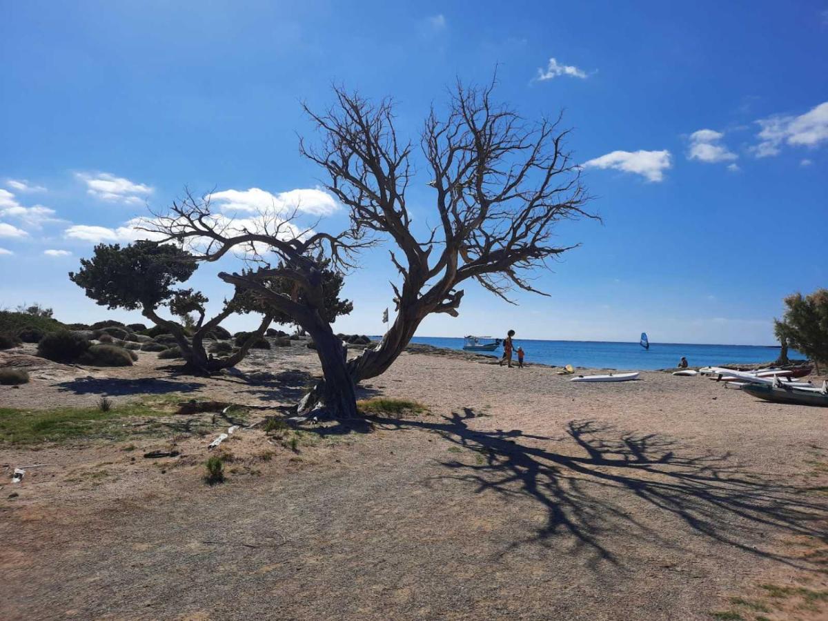 New Sea Escape Boutique Apt-Agii Aposto Li Beach ハニア エクステリア 写真