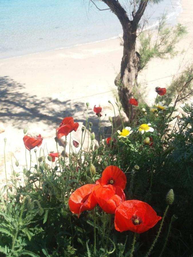 New Sea Escape Boutique Apt-Agii Aposto Li Beach ハニア エクステリア 写真